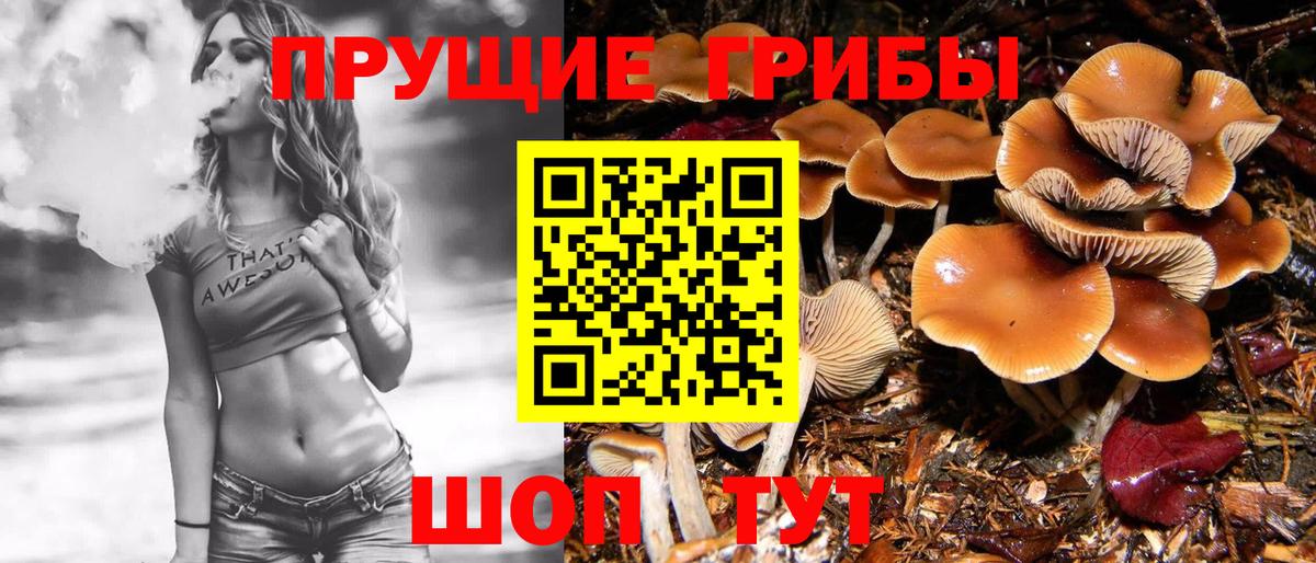 Псилоцибиновые грибы Psilocybe  Вход с VPN  Ростов Великий 